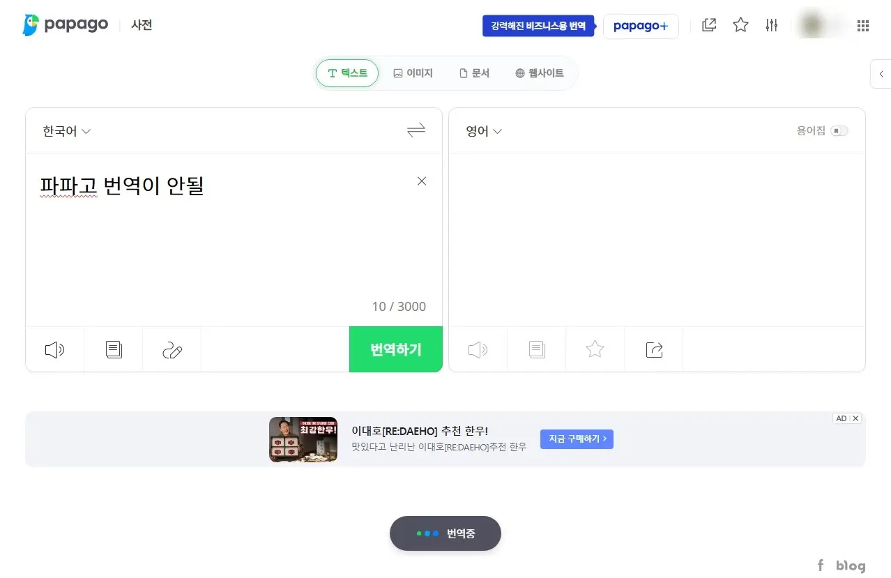 파파고 번역 안될 때 해결하는 방법 with 쿠키 초기화